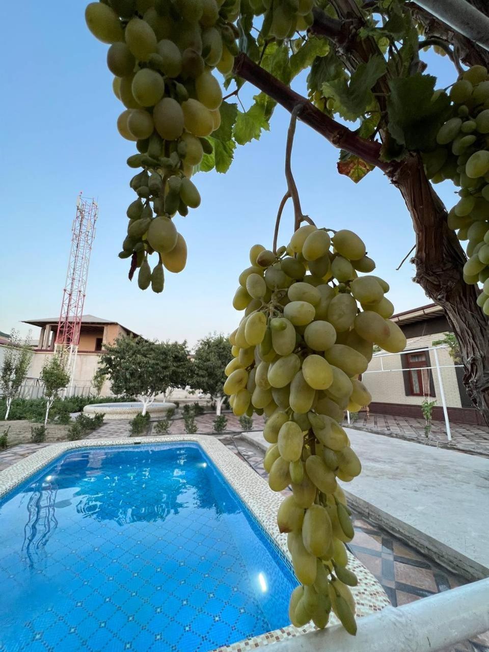Samarabonu Hotel Samarkanda Zewnętrze zdjęcie