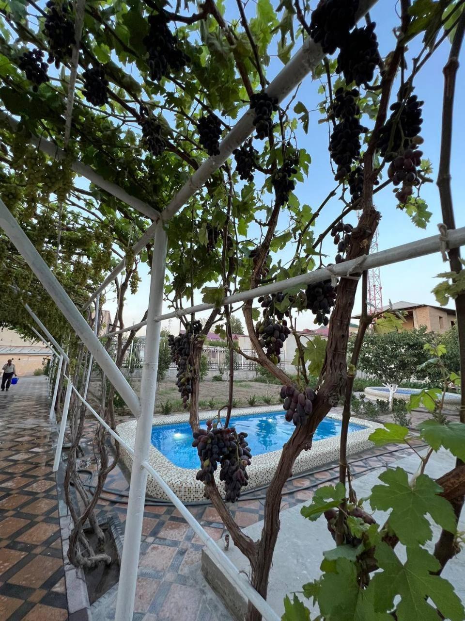 Samarabonu Hotel Samarkanda Zewnętrze zdjęcie
